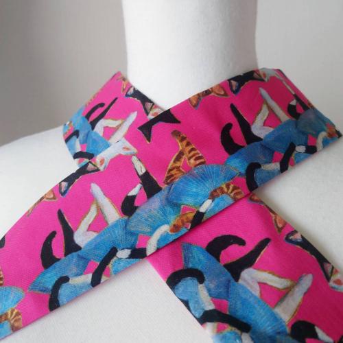 うそつき衿 猫さんのラインダンス