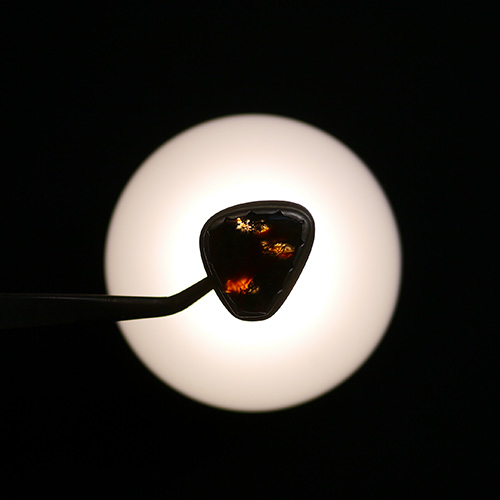 銀製帯留 暗示 inkling (SEA)  "Let’s go fishing!”